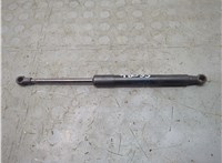 FR3B63406A10AA Амортизатор капота Ford Mustang 2014-2017 20879286 #2