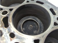 03L103011AG Блок цилиндров (Шорт блок) Audi A4 (B8) 2007-2015 20881316 #12