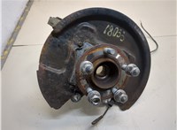 FR3Z1104G Ступица (кулак, цапфа) Ford Mustang 2014-2017 20881375 #1