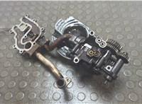 079115103AL Насос масляный Audi A8 (D4) 2010-2017 20886737 #1