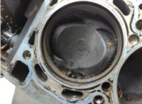 079103011EA Блок цилиндров (Шорт блок) Audi A8 (D4) 2010-2017 20886766 #14