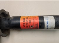 893513031AG Амортизатор подвески Audi 80 (B3) 1986-1991 20887868 #4