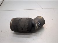37121095579, 1095579 Пневмоподушка BMW X5 E53 2000-2006 20888009 #1