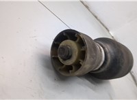 37121095580, 1095580 Пневмоподушка BMW X5 E53 2000-2006 20888702 #3