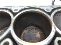 036103101AM Блок цилиндров (Шорт блок) Seat Ibiza 3 2001-2008 20888950 #15