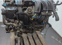 1543764, 3M5T10300KC, 1708472, 3N1110300AG Генератор Ford Focus 2 2008-2011 11664537 #12