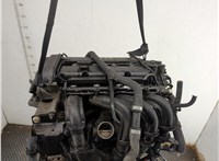1543764, 3M5T10300KC, 1708472, 3N1110300AG Генератор Ford Focus 2 2008-2011 11664537 #22