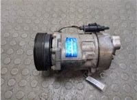 1458685, 1440657 Компрессор кондиционера Ford Galaxy 2000-2006 20894213 #1