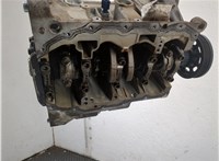 04E100098M Блок цилиндров (Шорт блок) Volkswagen Polo 2014-2025 20895299 #6