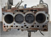 04E100098M Блок цилиндров (Шорт блок) Volkswagen Polo 2014-2025 20895299 #7