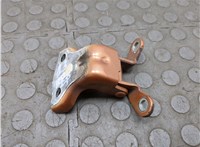 96623964 Петля двери Chevrolet Captiva 2006-2011 20895437 #1