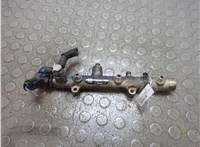  Рампа (рейка) топливная Volkswagen Touareg 2002-2007 20895913 #1