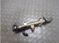  Рампа (рейка) топливная Volkswagen Touareg 2002-2007 20895913 #4