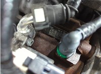 1685766, 1850520, AV6Q6006AA Двигатель (ДВС) Ford Focus 3 2011-2015 20896067 #5