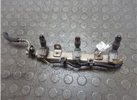 16450R70A01, 16610RN0A01 Форсунка топливная Acura ZDX 2009-2013 20897424 #1