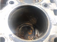 03E100032HX Блок цилиндров (Шорт блок) Seat Ibiza 3 2001-2008 20897892 #12