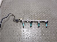 19185447 Форсунка топливная Pontiac Vibe 2 2008-2010 20899600 #1