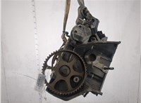  Головка блока (ГБЦ) Audi A6 (C5) 1997-2005 20901900 #1