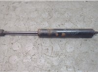 A2218800329 Амортизатор капота Mercedes S W221 2005-2013 20902399 #1