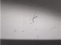 5LL811X9AB Дверная карта (Обшивка двери) Jeep Grand Cherokee 2013-2022 11669368 #3