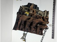  Блок цилиндров (Шорт блок) Ford Transit (Tourneo) Custom 2012-2025 20904169 #1