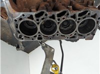  Блок цилиндров (Шорт блок) Ford Transit (Tourneo) Custom 2012-2025 20904169 #7