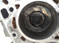  Блок цилиндров (Шорт блок) Ford Transit (Tourneo) Custom 2012-2025 20904169 #9