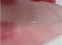 23392852 Дверная карта (Обшивка двери) Chevrolet Volt 2015-2019 11670048 #4