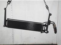 5N0317019C Радиатор АКПП Volkswagen Tiguan 2007-2011 20904756 #1