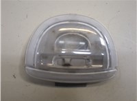 YF1Z13776CA Фонарь салона (плафон) Ford F-150 2003-2008 20906045 #1