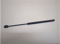 4L3416C826AD Амортизатор капота Ford F-150 2003-2008 20906076 #1