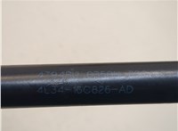 4L3416C826AD Амортизатор капота Ford F-150 2003-2008 20906076 #2