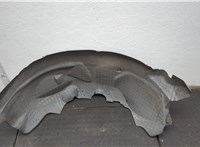 5L3Z16102AA Защита арок (подкрылок) Ford F-150 2003-2008 20906671 #1