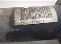 527610 Гидроаккумулятор (груша) Citroen C6 2004-2012 11671328 #2