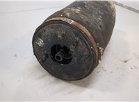 57126750355 Пневмоподушка BMW X5 E53 2000-2006 20910766 #2