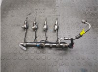 55577403, 12662385 Форсунка топливная Chevrolet Malibu 2015-2018 20911125 #1