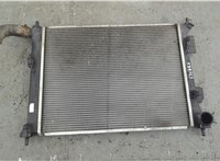 253101R Радиатор охлаждения двигателя SsangYong Rexton 2001-2007 20916909 #1