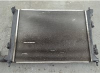 253101R Радиатор охлаждения двигателя SsangYong Rexton 2001-2007 20916909 #2