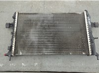 09202503 Радиатор охлаждения двигателя Opel Astra G 1998-2005 20916920 #1
