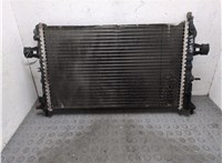 09202503 Радиатор охлаждения двигателя Opel Astra G 1998-2005 20916920 #10