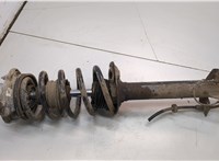 50707700, 50711909 Амортизатор подвески Fiat Ducato 2014-2025 20917922 #1