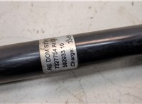 7327754 Распорка стоек Mini Clubman (F54) 2015-2024 20919068 #2