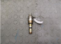  Клапан фазорегулятора Renault Megane 2 2002-2009 20919406 #1