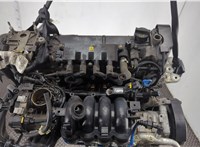 55194880 Компрессор кондиционера Fiat Punto 1999-2010 11679105 #4