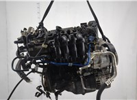 55194880 Компрессор кондиционера Fiat Punto 1999-2010 11679105 #8