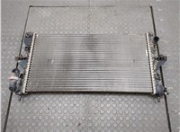 1382419080, EZ254002 Радиатор охлаждения двигателя Fiat Ducato 2014-2025 20922476 #1