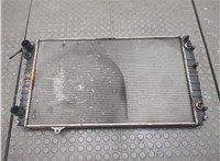  Радиатор охлаждения двигателя Audi A8 (D2) 1994-2002 20922864 #1