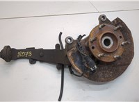 19259798 Ступица (кулак, цапфа) Chevrolet Trailblazer 2001-2010 20923753 #1