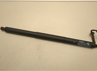 7350837 Амортизатор крышки багажника BMW X1 (F48) 2015-2022 20924377 #1