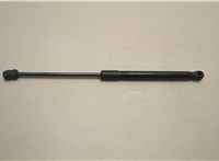 51237148346, 7148346 Амортизатор капота BMW X6 E71 2007-2014 20925132 #1